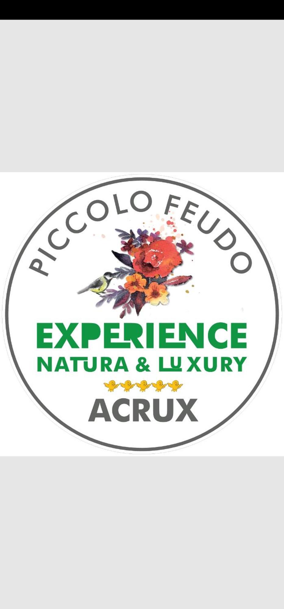 Piccolo Feudo Green Resort (Adults Only) Viterbo Kamer foto