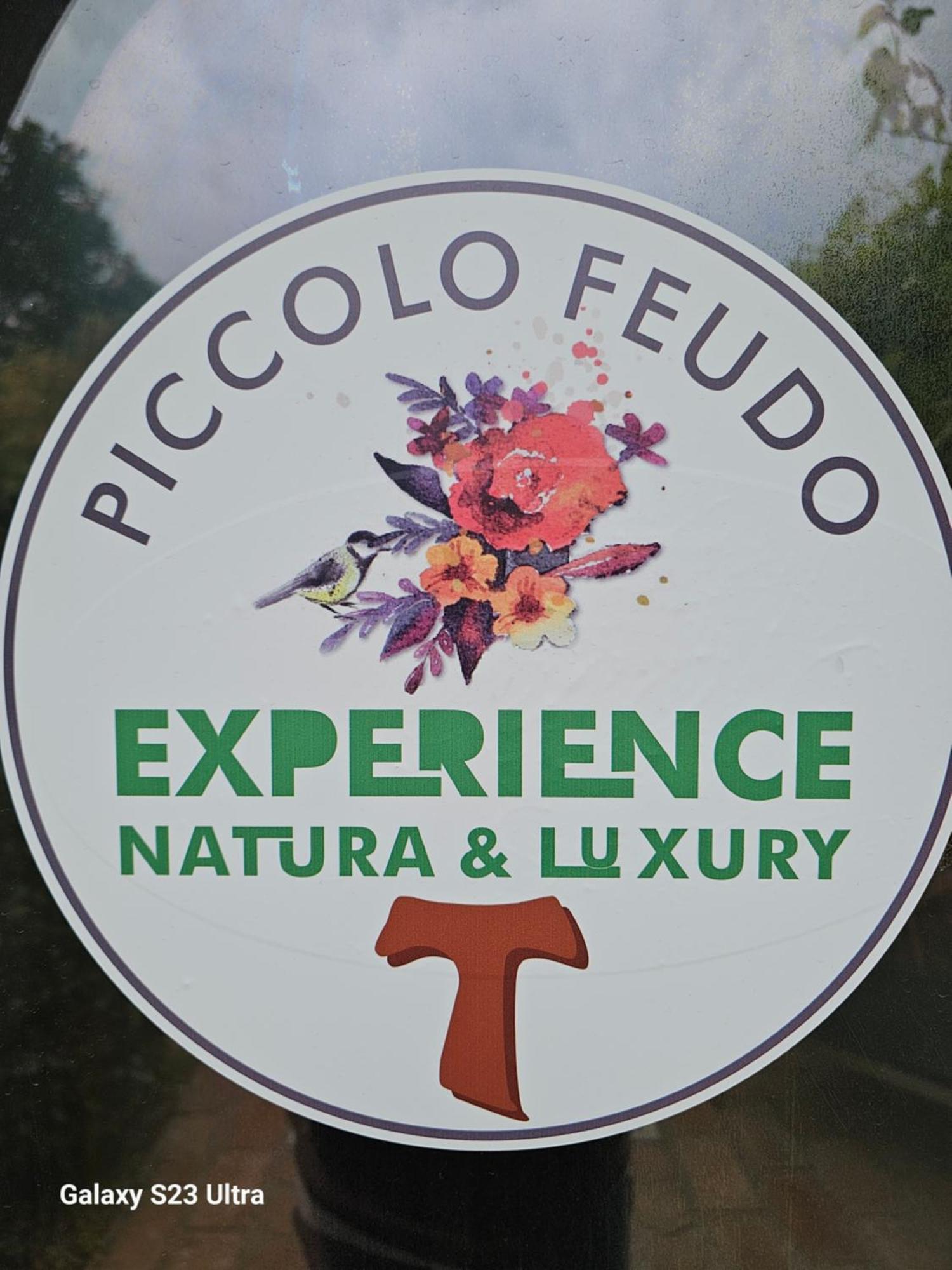 Piccolo Feudo Green Resort (Adults Only) Viterbo Kamer foto